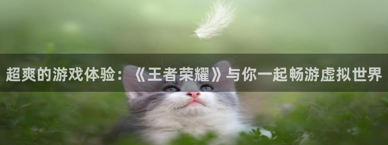 杜邦娱乐登陆测速：超爽的游戏体验：《王者荣耀》与你一起畅游虚