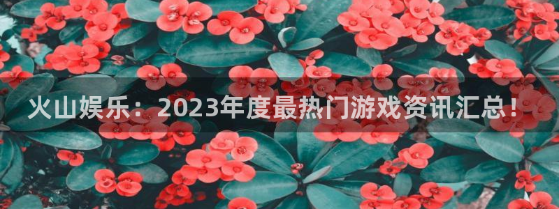 杜邦娱乐注册登录平台：火山娱乐：2023年度最热门游戏资讯汇