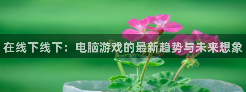 杜邦娱乐怎么注册：在线下线下：电脑游戏的最新趋势与未来想象