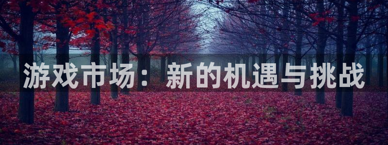 杜邦娱乐注册服务条款：游戏市场：新的机遇与挑战