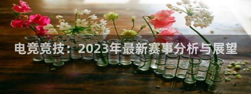 杜邦娱乐注册网站：电竞竞技：2023年最新赛事分析与展望
