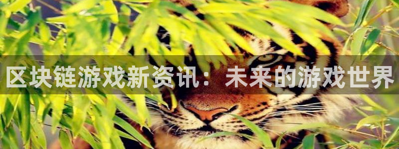 杜邦娱乐平台登录：区块链游戏新资讯：未来的游戏世界