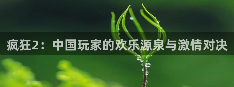 杜邦娱乐平台注册：疯狂2：中国玩家的欢乐源泉与激情对决
