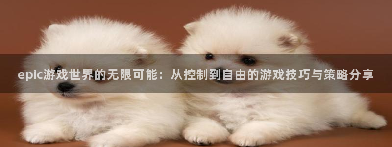 杜邦娱乐开户测速：epic游戏世界的无限可能：从控制到自由的