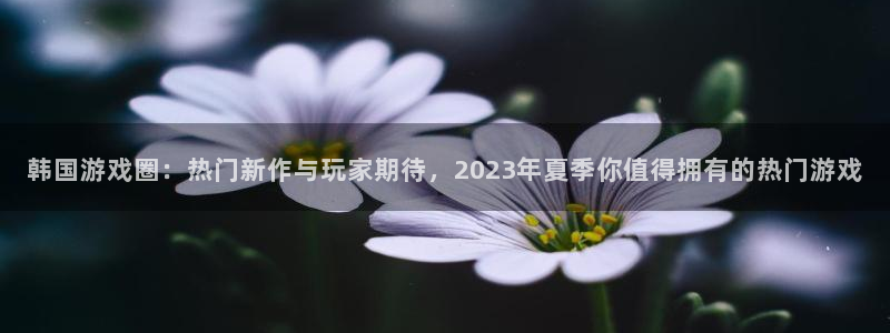 杜邦娱乐平台负责人：韩国游戏圈：热门新作与玩家期待，2023