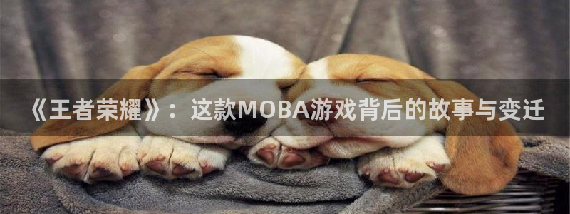 杜邦娱乐信誉怎么样知乎