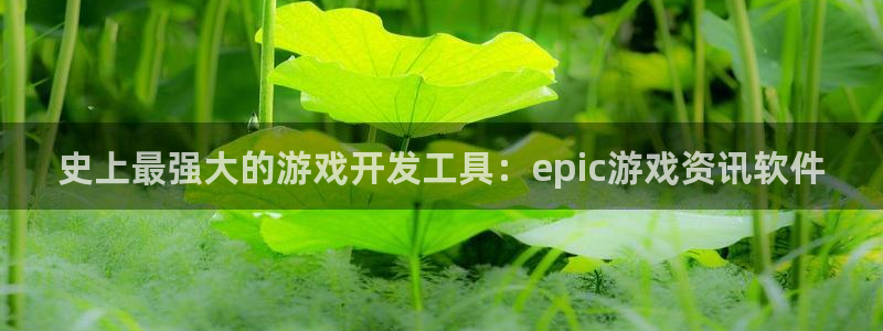 杜邦娱乐app官网入口网址