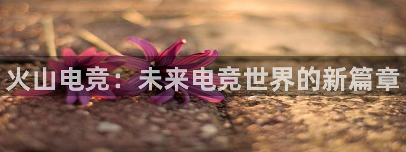 杜邦娱乐app官网入口在哪
