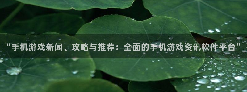 杜邦娱乐嘉675.138的更新方法与理念