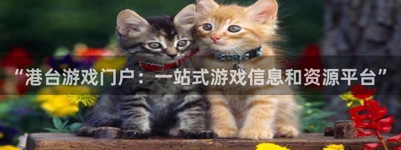 杜邦娱乐计划 3D