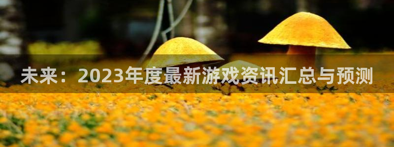 杜邦娱乐手机app支付密码是不是取款密码呢：未来：2023年