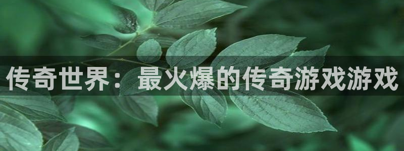 杜邦娱乐平台官网登录：传奇世界：最火爆的传奇游戏游戏