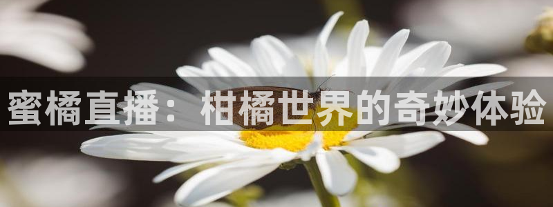 直播吧体育女神大赛小组赛day7