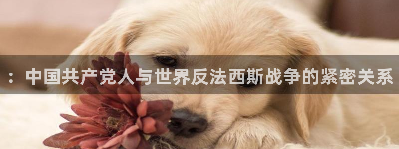 nba直播吧 极速体育：：中国共产党人与世界反法西斯战争的紧密关系