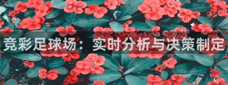 nba直播吧极速体育：竞彩足球场：实时分析与决策制定