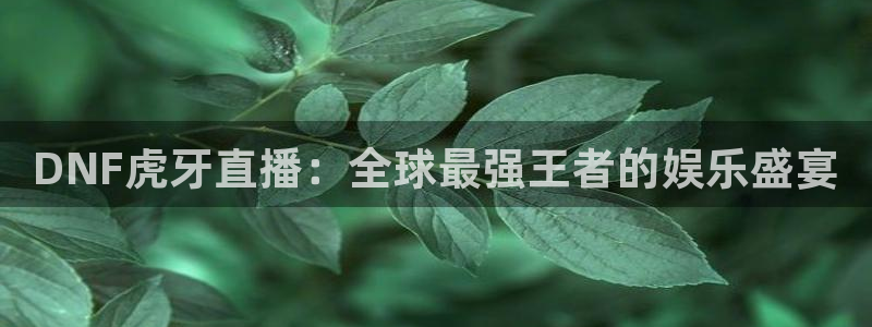 直播吧在线直播：DNF虎牙直播：全球最强王者的娱乐盛宴