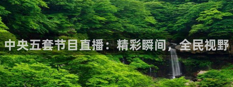nba直播吧录像高清回放像：中央五套节目直播：精彩瞬间，全民视野