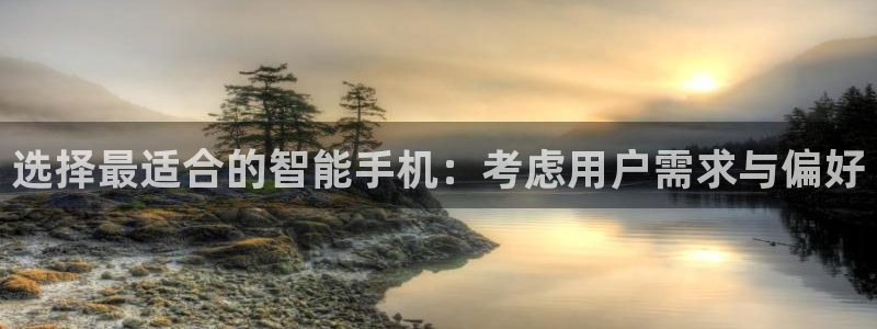 jrs低调看nba直播吧：选择最适合的智能手机：考虑用户需求与偏好