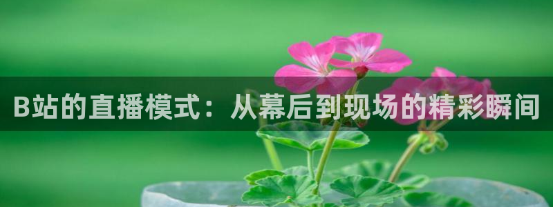 皇马足球直播免费观看直播吧：B站的直播模式：从幕后到现场的精彩瞬间