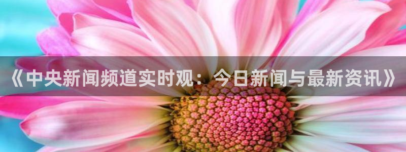 极速体育直播吧免费观看：《中央新闻频道实时观：今日新闻与最新资讯》