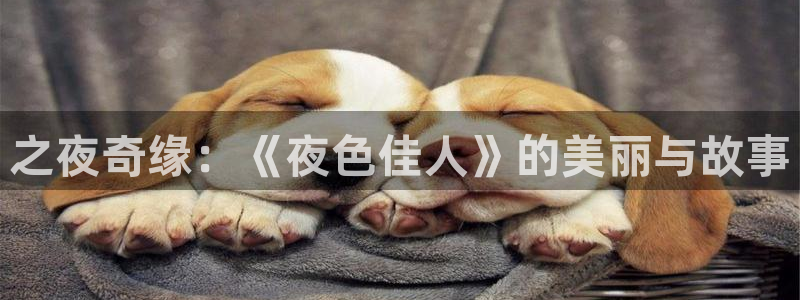 cc体育直播吧：之夜奇缘：《夜色佳人》的美丽与故事